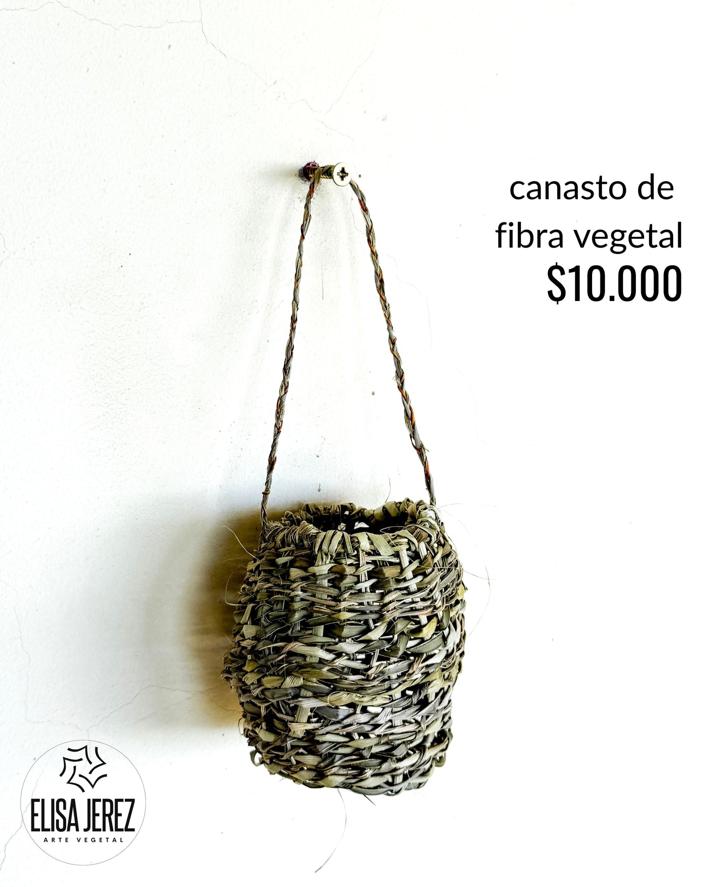 Canasto de Fibra Vegetal - Pequeño | Modelo 1