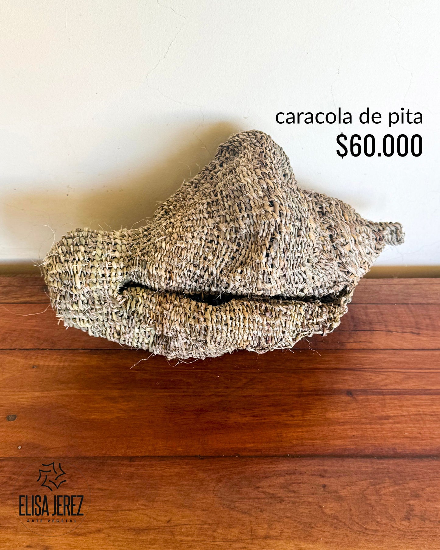 Caracola de Fibra Vegetal - Mediana | Modelo 1