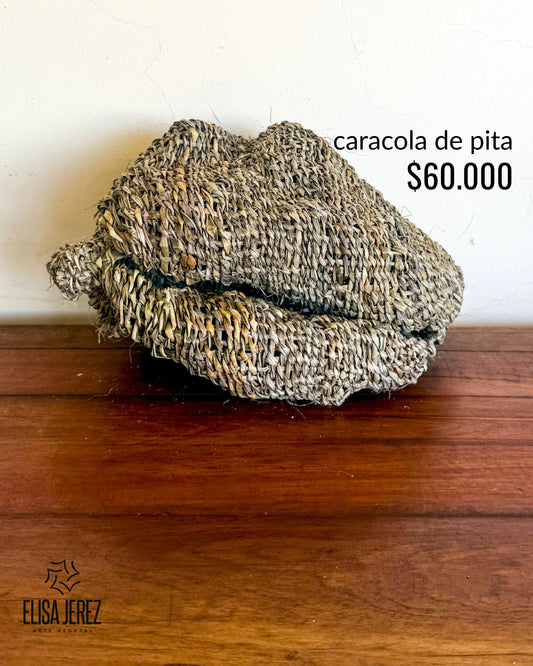 Caracola de Fibra Vegetal - Mediana | Modelo 2