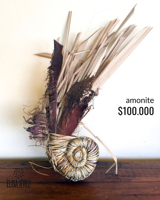 Amonite de Fibra Vegetal - Mediana