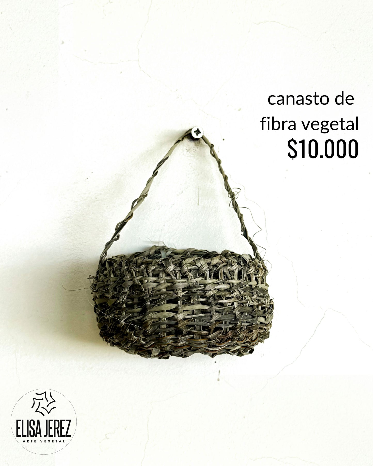 Canasto de Fibra Vegetal - Pequeño | Modelo 2