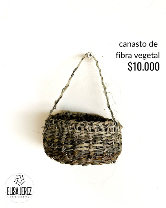 Canasto de Fibra Vegetal - Pequeño | Modelo 2